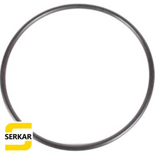 R9 CLİO SYMBOL MEGANE ŞANZUMAN ARKA KAPAK CONTASI Ürün Görseli